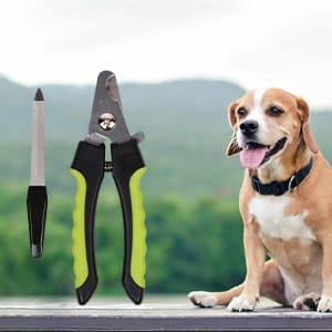 Nail Cutter And Filler