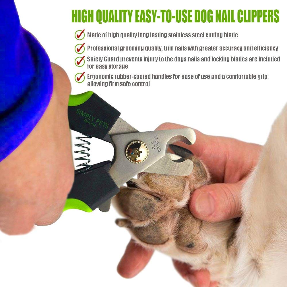 Nail Cutter And Filler